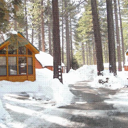 Cedar Pines Resort South Lake Tahoe Extérieur photo