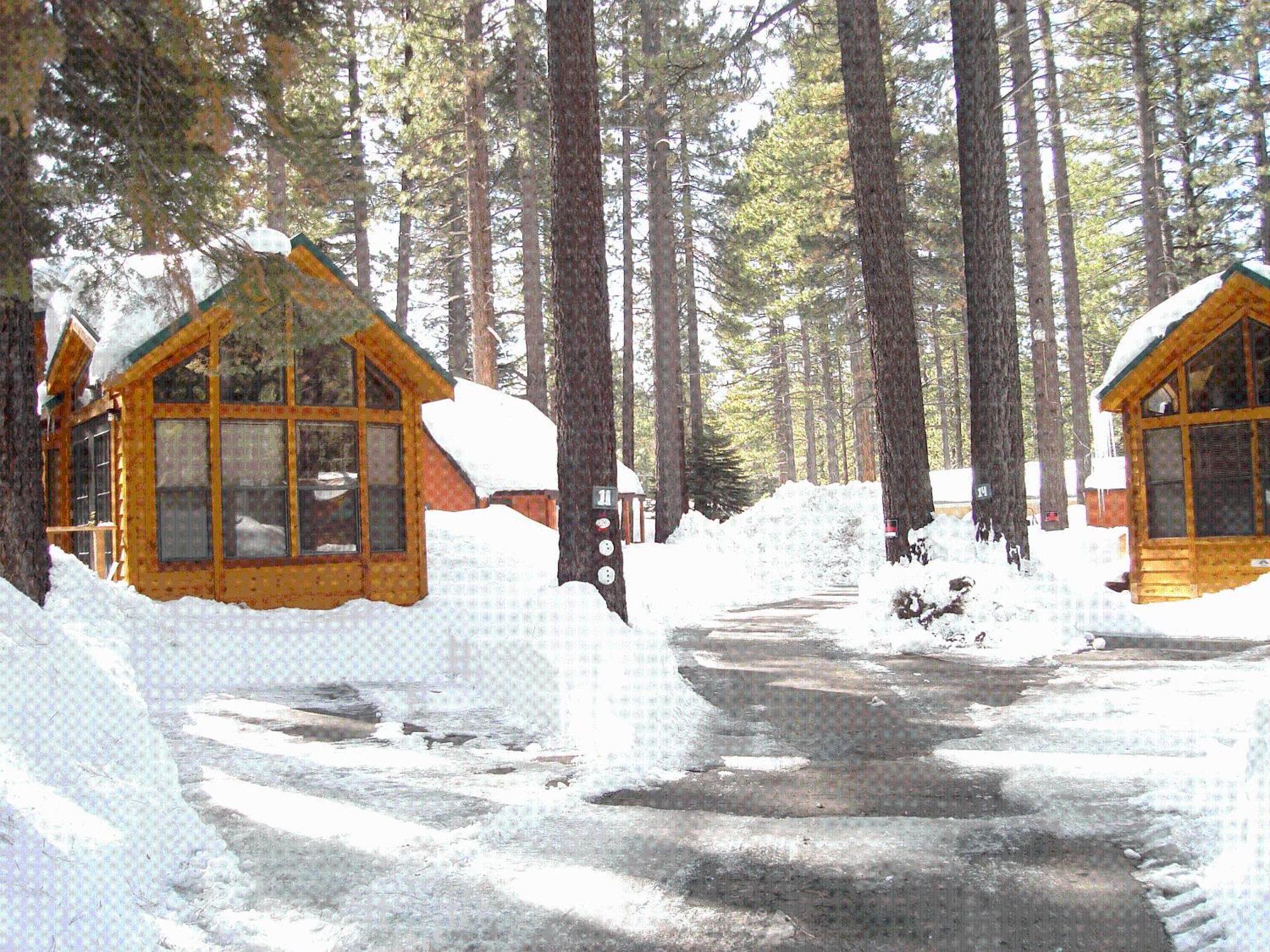 Cedar Pines Resort South Lake Tahoe Extérieur photo