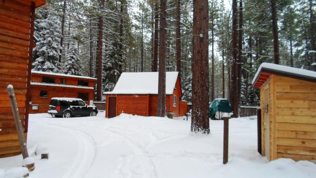 Cedar Pines Resort South Lake Tahoe Extérieur photo